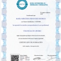 Acercar imagen: certificate 17