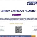 Acercar imagen: certificate 2