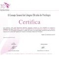 Acercar imagen: certificate 211