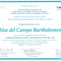 Acercar imagen: certificate 3
