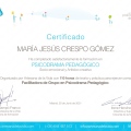 Acercar imagen: certificate 1