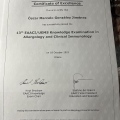 Acercar imagen: certificate 3