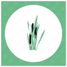 Centro de Psicologia "Mi psicóloga en Albacete"