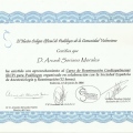 Acercar imagen: certificate 47