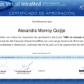 Acercar imagen: certificate 6