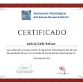 Acercar imagen: certificate 8