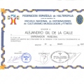 Acercar imagen: certificate 6