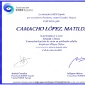 Acercar imagen: certificate 7