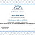 Acercar imagen: certificate 7