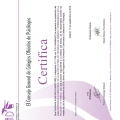 Acercar imagen: certificate 22