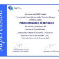 Acercar imagen: certificate 29