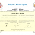Acercar imagen: certificate 3