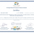 Acercar imagen: certificate 18
