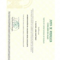 Acercar imagen: certificate 5