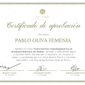 Acercar imagen: certificate 3