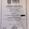 Acercar imagen: certificate 7
