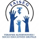 Centre Taiseg