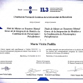 Acercar imagen: certificate 7