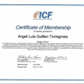 Acercar imagen: certificate 4