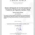 Acercar imagen: certificate 3