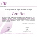 Acercar imagen: certificate 245