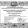 Acercar imagen: certificate 12