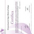 Acercar imagen: certificate 16