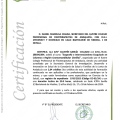 Acercar imagen: certificate 2