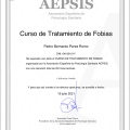 Acercar imagen: certificate 61