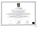 Acercar imagen: certificate 1