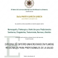 Acercar imagen: certificate 3