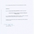 Acercar imagen: certificate 12