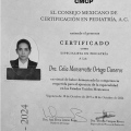Acercar imagen: certificate 3