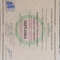 Acercar imagen: certificate 2