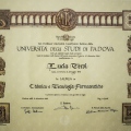 Acercar imagen: certificate 6