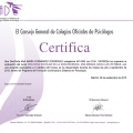 Acercar imagen: certificate 17
