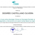 Acercar imagen: certificate 1