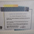 Acercar imagen: certificate 5