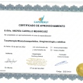 Acercar imagen: certificate 2