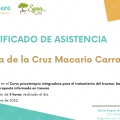 Acercar imagen: certificate 6