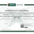 Acercar imagen: certificate 9