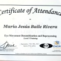 Acercar imagen: certificate 11
