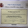 Acercar imagen: certificate 5