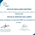 Acercar imagen: certificate 2