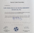 Acercar imagen: certificate 10
