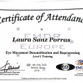 Acercar imagen: certificate 8