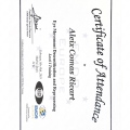 Acercar imagen: certificate 3