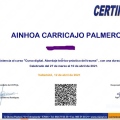 Acercar imagen: certificate 4