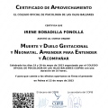 Acercar imagen: certificate 5