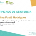 Acercar imagen: certificate 5